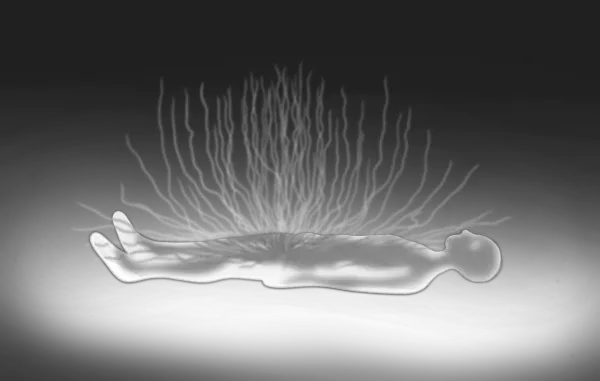 Silhouette of a reclining person with abstract shapes rising from their body, creating a dreamlike atmosphere.